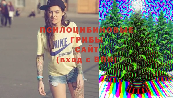 бутират Алзамай