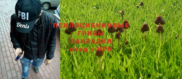 PSILOCYBIN Алексеевка