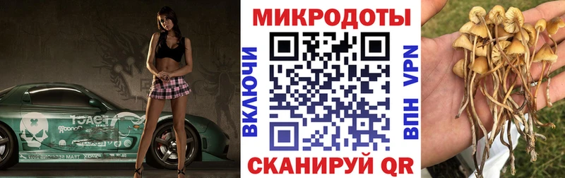 Галлюциногенные грибы Magic Shrooms  купить наркотик  Мещовск 